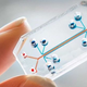 Illustration for article titled Forgery Is Getting So Good That Scientists Had to Invent Keys Made From DNA
